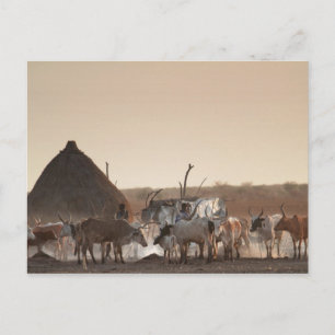 Carte Postale Malakal, village du groupe ethnique Dinka