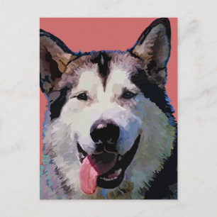 Carte postale Malamute de l'Alaska