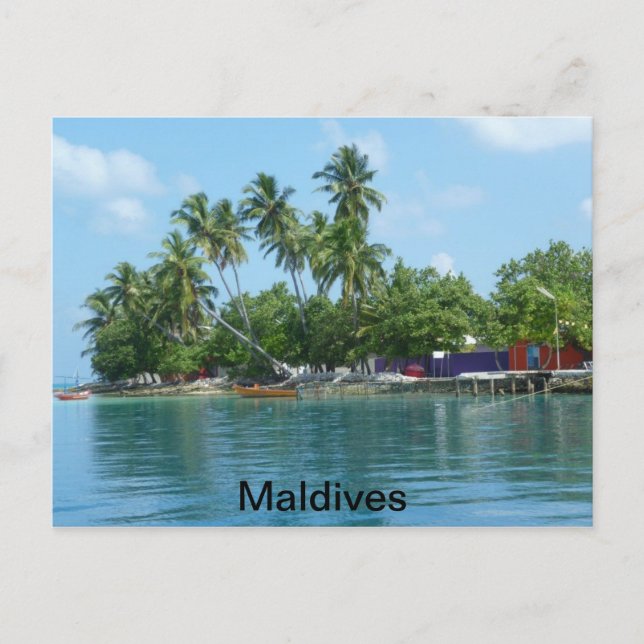 Carte Postale Maldives (Devant)