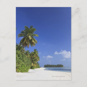 Carte Postale Maldives, Atoll de Meemu, île de Medhufushi