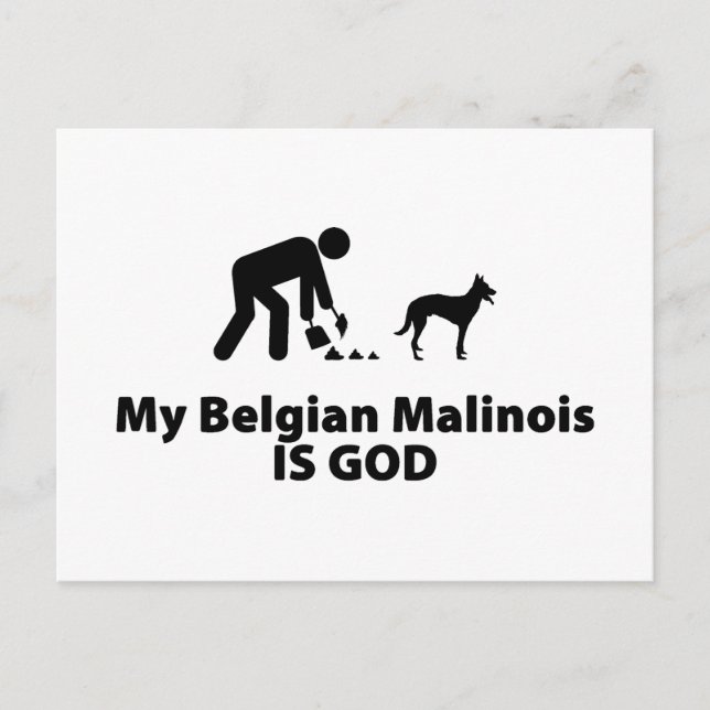 Carte Postale Malinois belge (Devant)