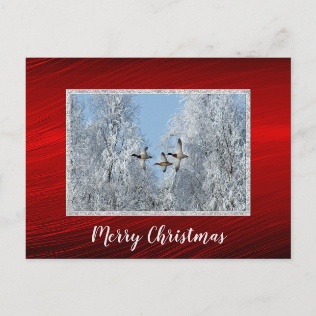 Carte Postale Mallard Ducks Flying Snow Photo Noël (Devant)