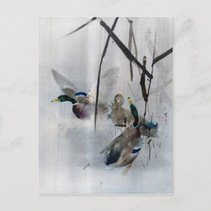 Carte Postale Mallards et roseaux, Watanabe Seitei
