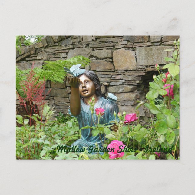 Carte Postale Mallow Garden Show - Irlande (Devant)