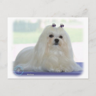 Carte Postale Maltais