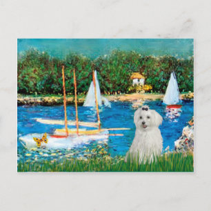 Carte Postale MALTAIS 10 - Voiliers