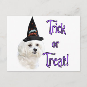 Carte Postale Maltese Trick