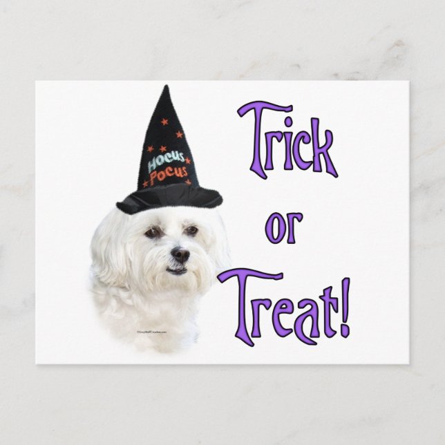 Carte Postale Maltese Trick (Devant)