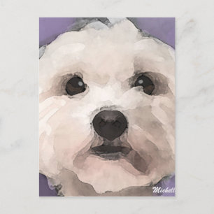 Carte Postale Maltipoo