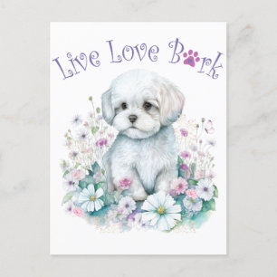 Carte Postale Maman de chien maltais Floral