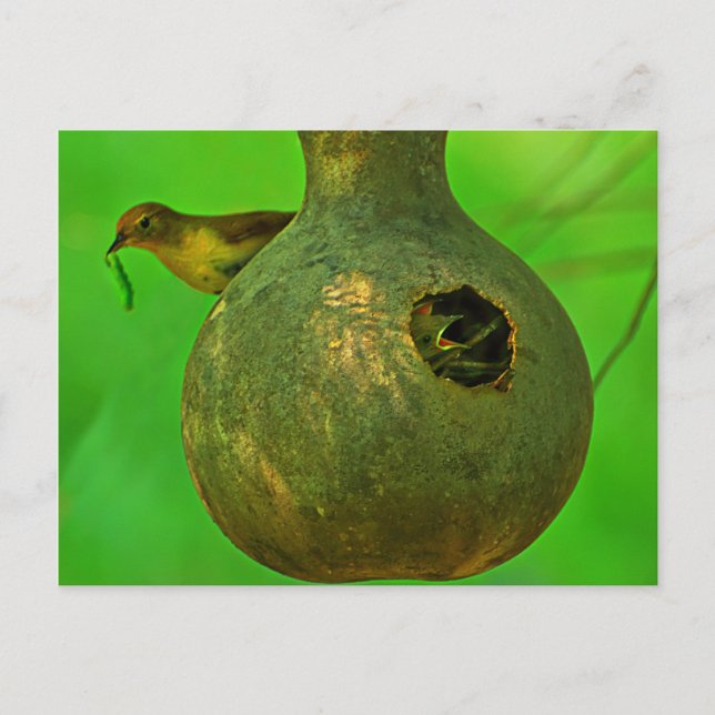 Carte Postale maman Je sais que tu es là (Devant)