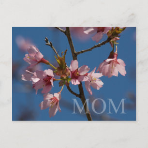 Carte Postale Maman Jolie Photo Florale Fleur Fleurit Scène de P