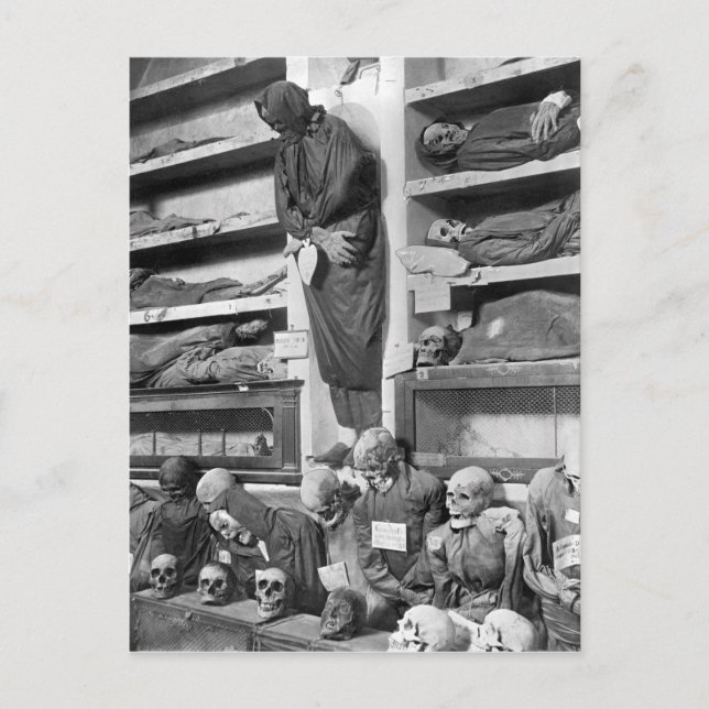 Carte Postale Mamans dans les catacombes de Palerme, Italie (Devant)