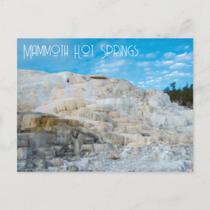 Carte Postale Mammoth Hot Springs Parc national de Yellowstone