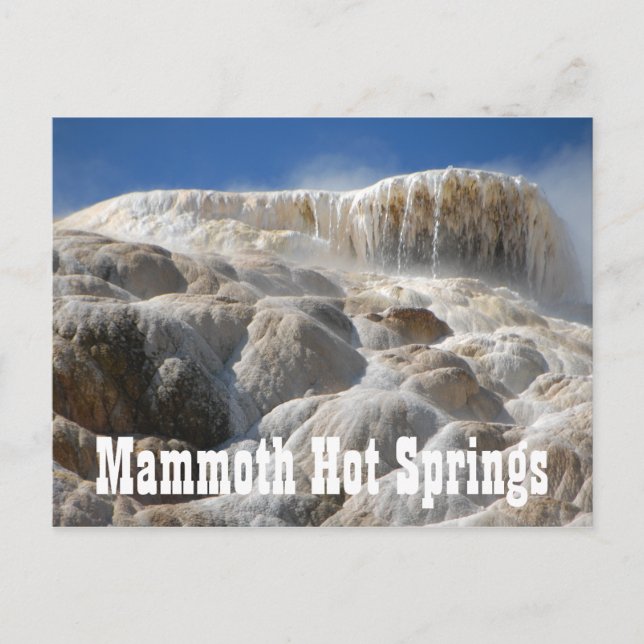 Carte Postale Mammoth Hot Springs, parc national Yellowstone (Devant)