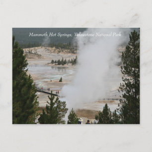 Carte Postale Mammoth Hot Springs, parc national Yellowstone