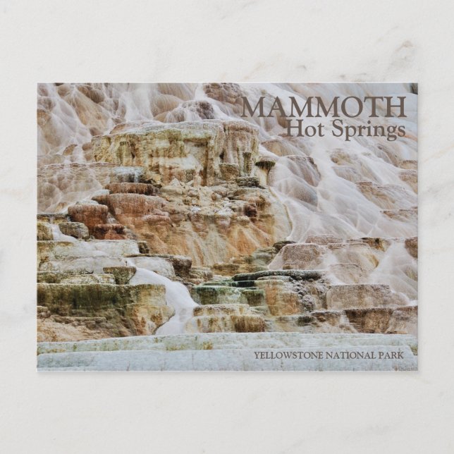 CARTE POSTALE MAMMOTH HOT SPRINGS, PARC NATIONAL YELLOWSTONE, WI (Devant)