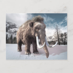 Carte Postale Mammoth laineux