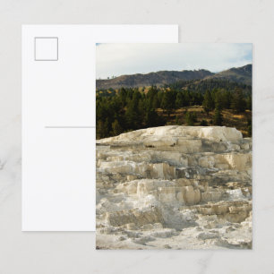 Carte Postale Mammoth Steps 2008