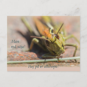 Carte Postale Man må säja ! Gräshoppa med personlighet CC0775