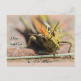 Carte Postale Man må säja ! Gräshoppa med personlighet CC0775