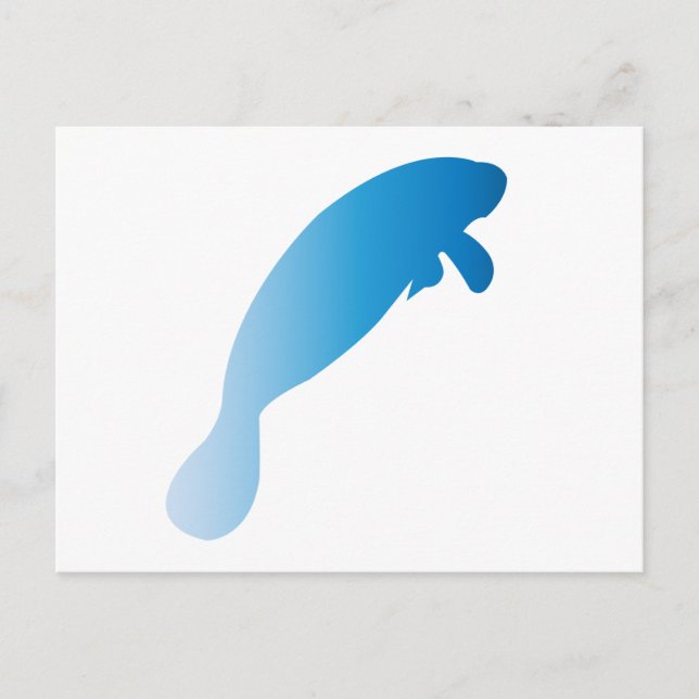 Carte postale Manatee (Devant)