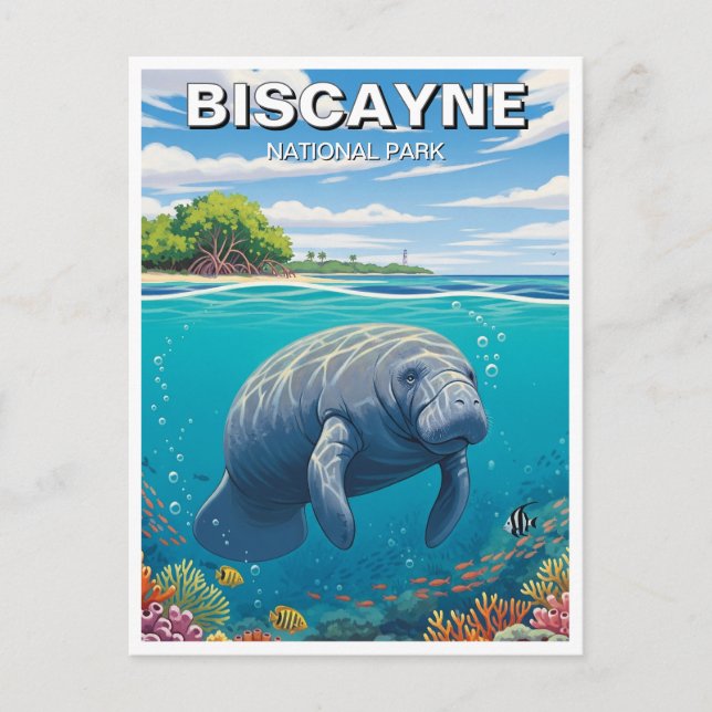 Carte Postale Manatee dans le parc national de Biscayne (Devant)
