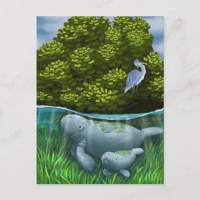 Carte Postale Manatee Mom and Calf (Devant)