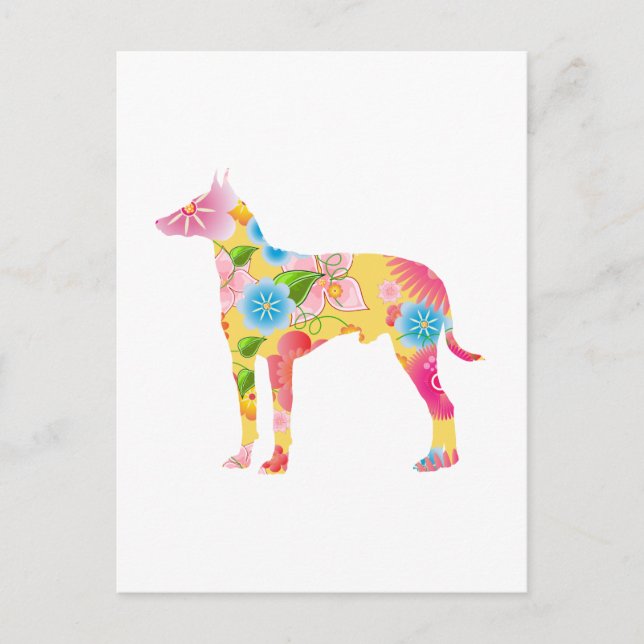 Carte Postale Manchester Terrier (Devant)