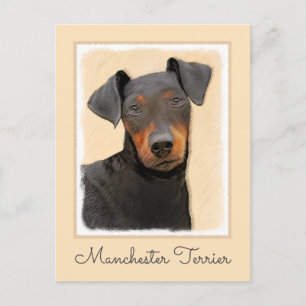 Carte Postale Manchester Terrier Peinture Art animal original