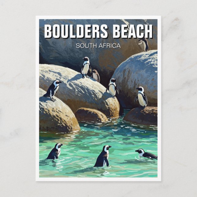 Carte Postale Manchots de la plage de Boulders Afrique du Sud Vo (Devant)