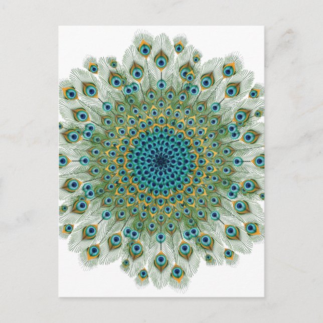 Carte Postale Mandala couleur Peacock Homme (Devant)