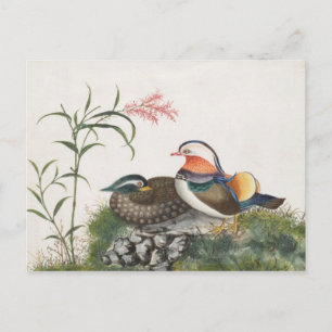 Carte Postale Mandarin Canard peinture chinoise