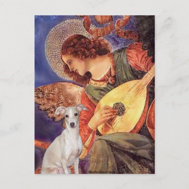Carte Postale Mandolin Angel - -Greyhound italien 7 (Devant)