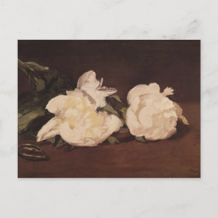 Carte Postale Manet Branche des pivoines blanches et des sécat