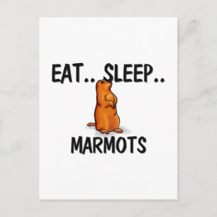Carte Postale Manger des MARMOTS du sommeil
