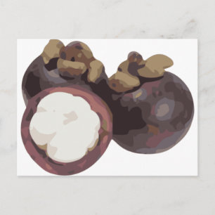 Carte Postale Mangosteen Sweet and Tangy Fruit de Thaïlande