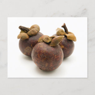 Carte Postale Mangosteen violet