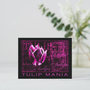 Carte Postale Manie des tulipes