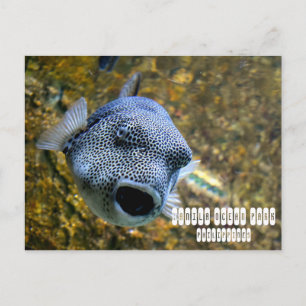 Carte Postale Manille Ocean Park aux Philippines