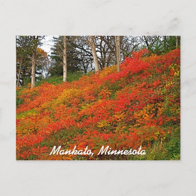 Carte Postale Mankato, Minnesota (Devant)