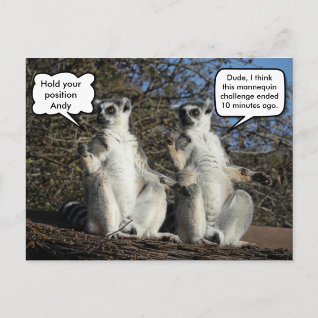 Carte Postale Mannequin Challenged Lemurs (Devant)