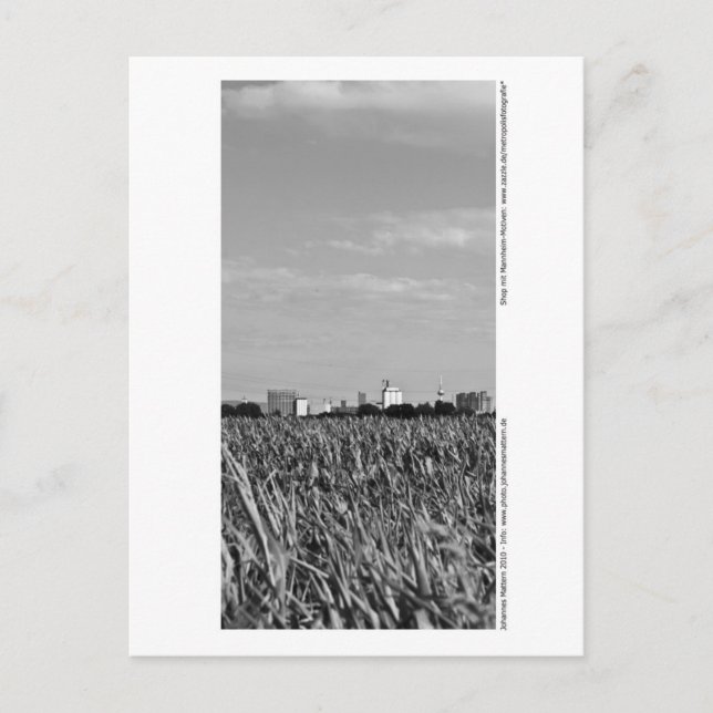 Carte Postale Mannheim - Skyline (Devant)