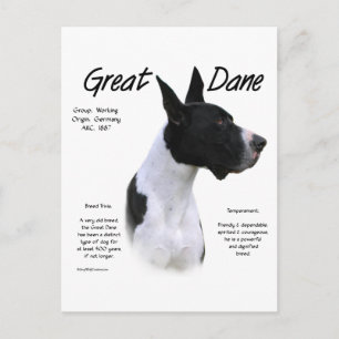 Carte Postale Mantle Great Dane Rencontrez la race