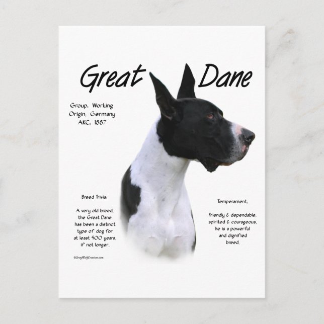 Carte Postale Mantle Great Dane Rencontrez la race (Devant)