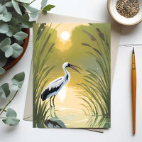 Marais aux Cigognes | Parc national des Everglades