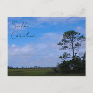 Carte Postale Marais de l'île de Hunting