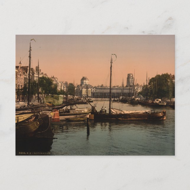 Carte Postale Marché aux poissons à Rotterdam (Devant)