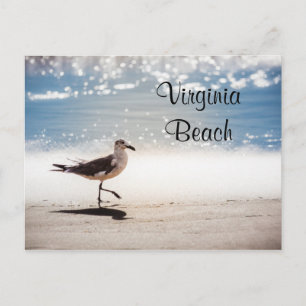 Carte Postale Marche de mouettes sur Virginia Beach