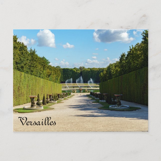 Carte Postale Marche des Marmousets dans les jardins de Versaill (Devant)